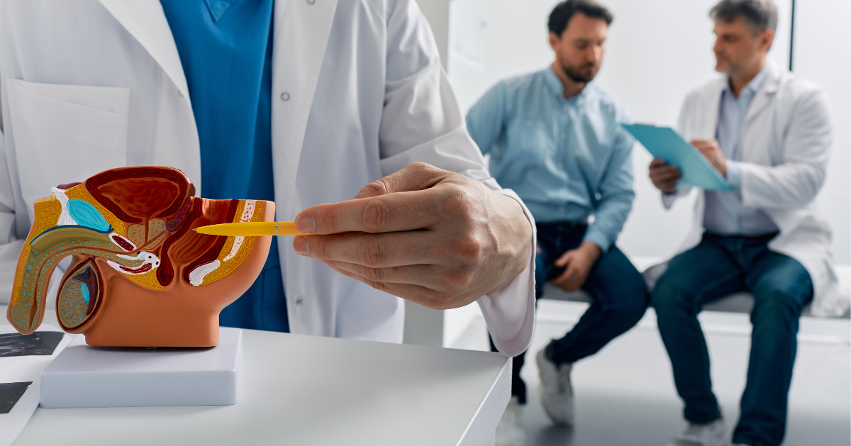UTI Symptoms Causes Treatment