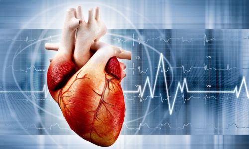 Cardiology Department